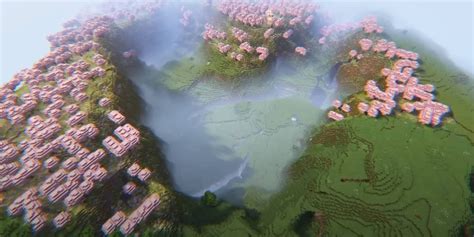 10 Best Minecraft Seeds For Cherry Blossom .